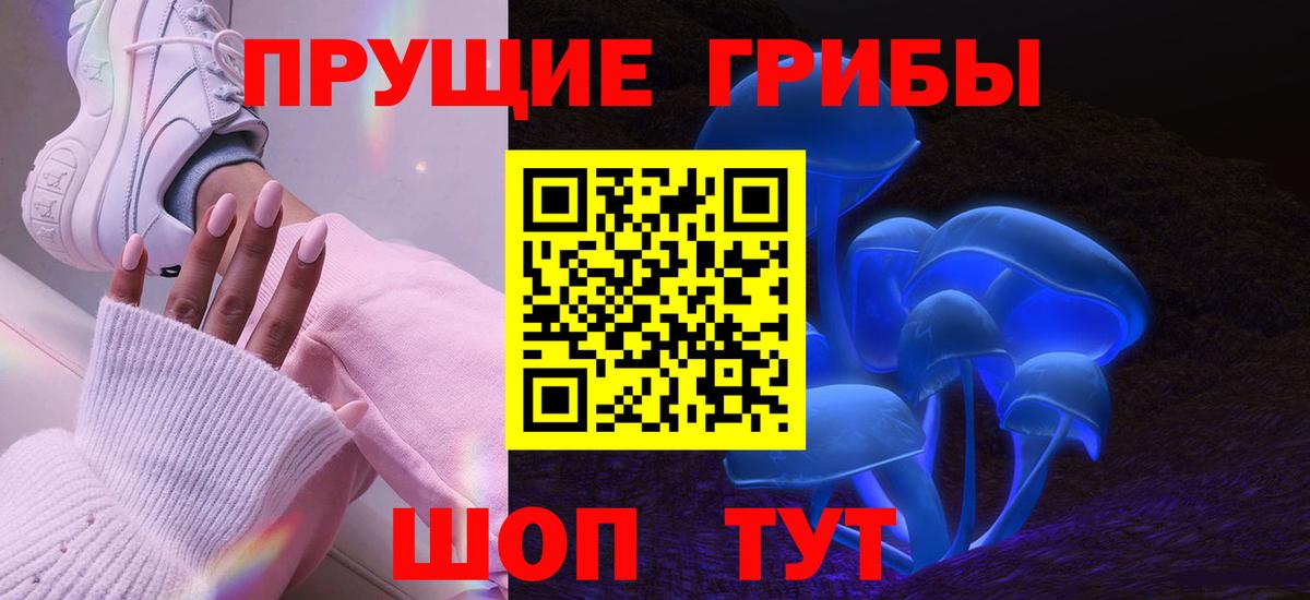 Борисоглебск  Галлюциногенные грибы Psilocybe  Галлюциногенные грибы ЛСД  где купить наркоту  Вход с VPN 